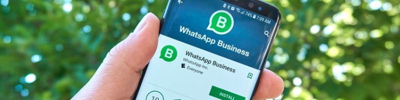 MONTREAL, CANADA - August 28, 2018: Whatsapp Business android app on Samsung s8 screen. WhatsApp Business app is a tool for businesses which allows to communicate with their customers.